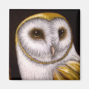 BARN OWL CLOSE UP MAGNET