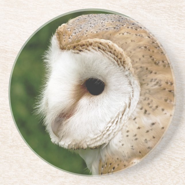 BARN OWL COASTER (Front)