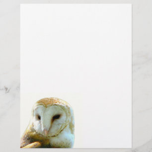 Barn Owl Corner Peek Stationery