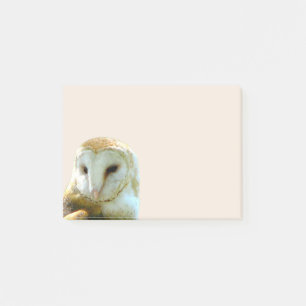 Barn Owl Corner Post-it Notes