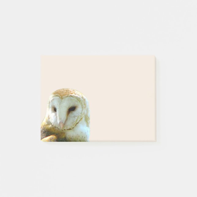 Barn Owl Corner Post-it Notes (Front)