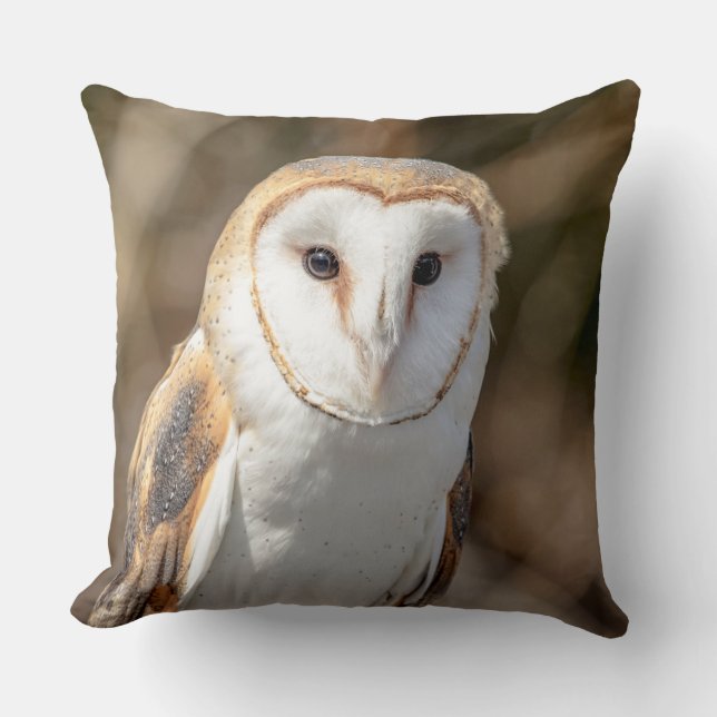 Barn Owl Cushion (Front)
