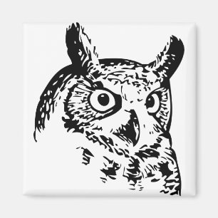 barn owl,cute owl,funny owl,baby owl,snowy owl,owl magnet