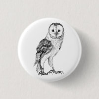 Barn Owl - Drawing In Black Pen