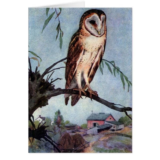 Barn Owl, Farmhouse and Barn (Front)