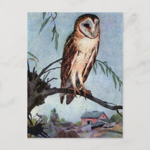 Barn Owl, Farmhouse and Barn Postcard