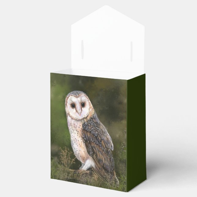 Barn Owl Favour Boxes (Opened)