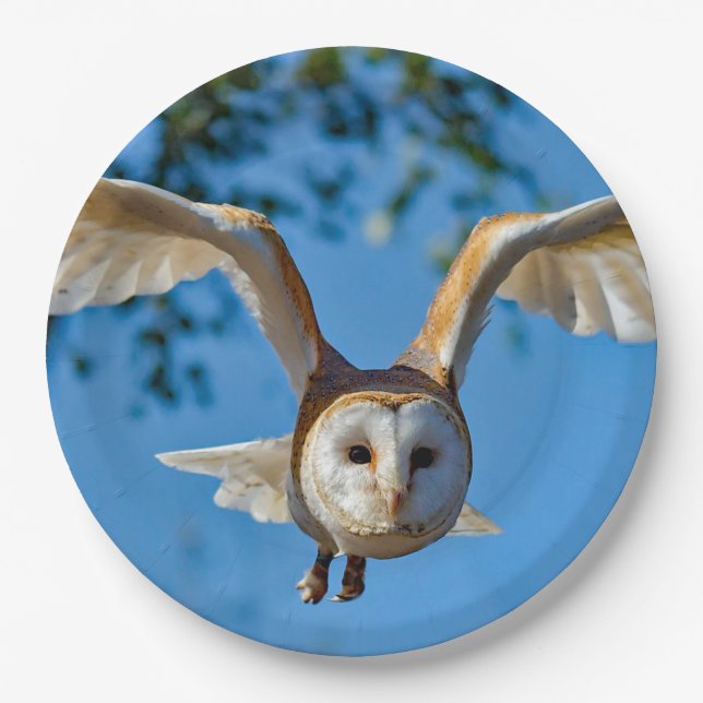 Barn Owl Flight Photo Paper Plate (Front)