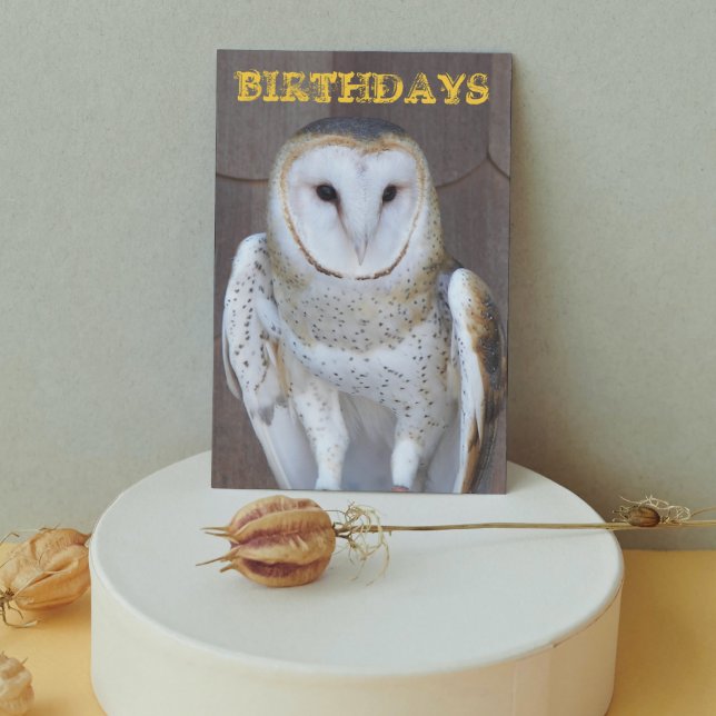 Barn Owl Funny Birthday Card (In Situ)