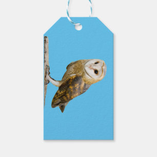 Barn Owl Gift Tags