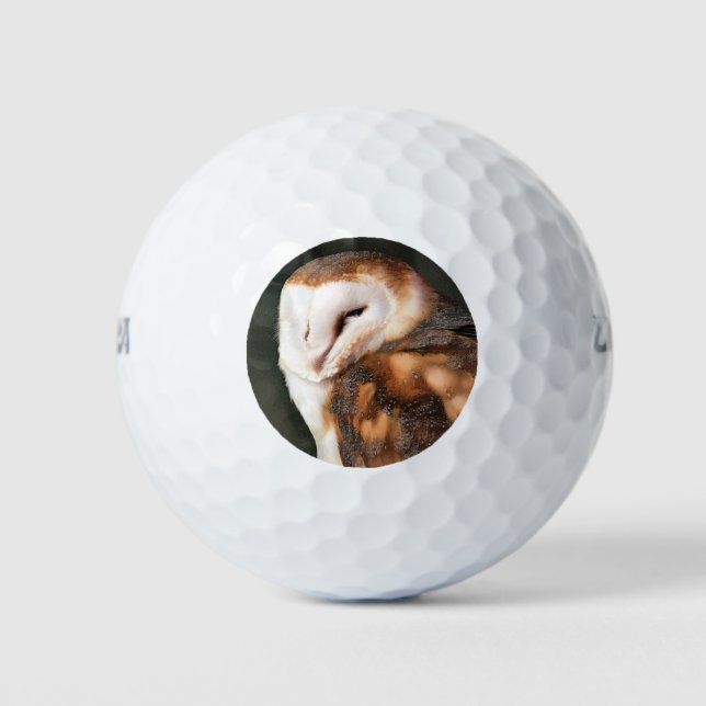 BARN OWL GOLF BALLS (Front)