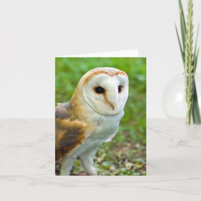 Barn Owl Greeting card (Front)