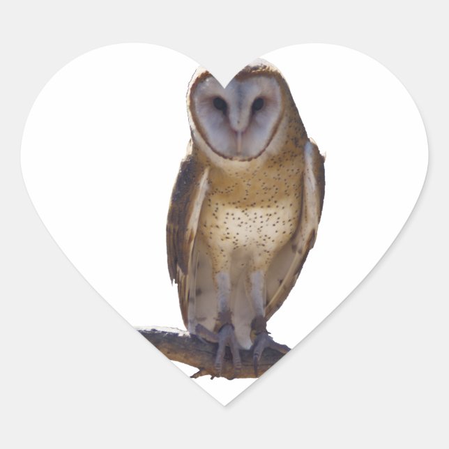 Barn Owl Heart Sticker (Front)
