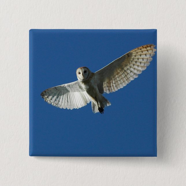 Barn Owl in Daytime Flight 15 Cm Square Badge (Front)