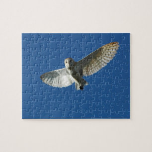 Barn Owl in Daytime Flight Jigsaw Puzzle