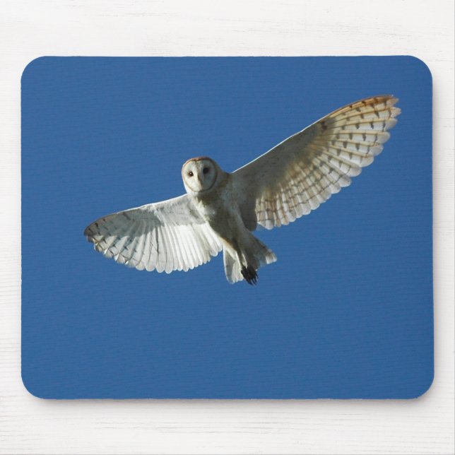 Barn Owl in Daytime Flight Mouse Pad (Front)