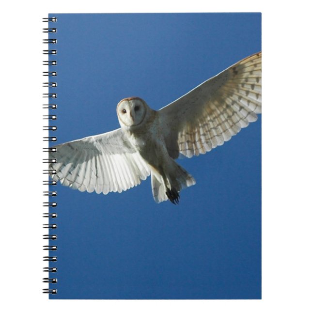 Barn Owl in Daytime Flight Notebook (Front)