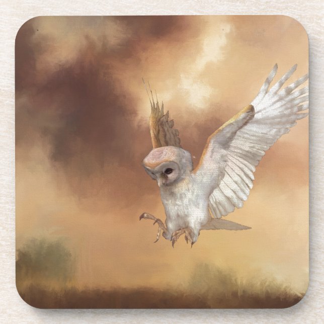 Barn Owl in Flight Coaster (Front)
