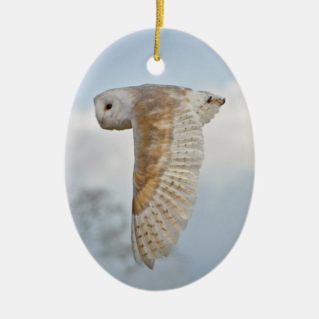 Barn Owl in Flight Ornament (Front)