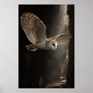 Barn Owl in Flight Through Dramatic Light Wildlife Poster