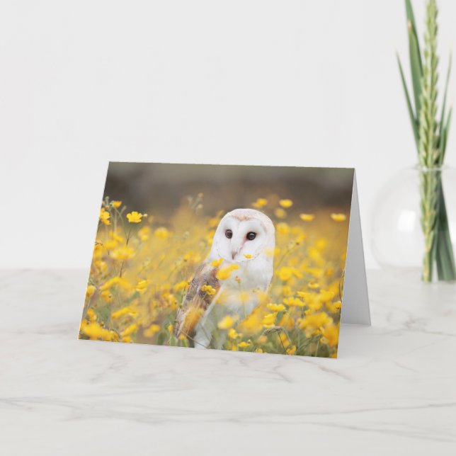 Barn Owl in Yellow Flower Field Card (Front)
