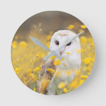 Barn Owl in Yellow Flower Field
