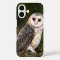 Barn Owl iPhone Case
