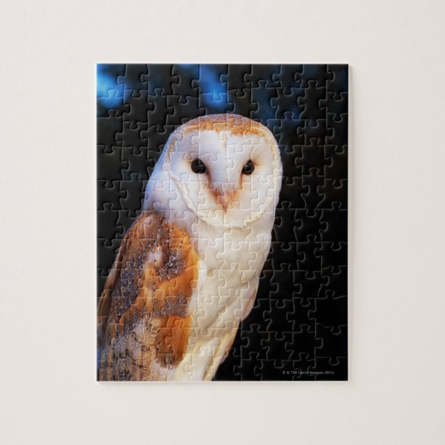 Barn Owl Jigsaw Puzzle (Vertical)