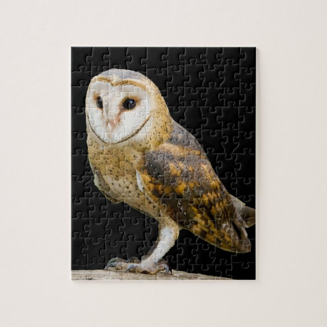 Barn Owl Jigsaw Puzzle (Vertical)