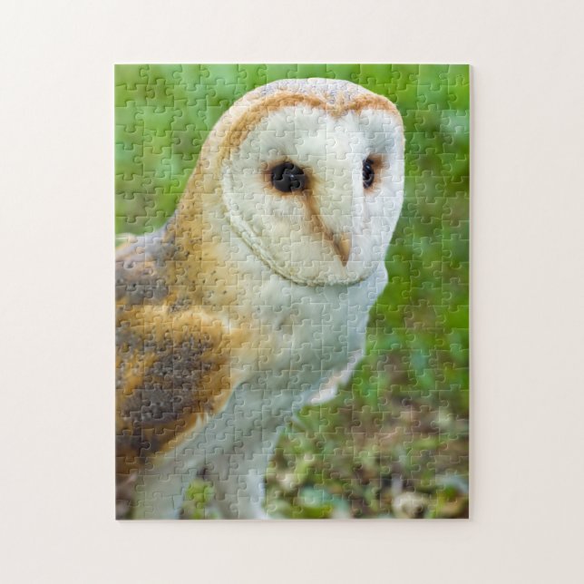 Barn Owl Jigsaw puzzle (Vertical)