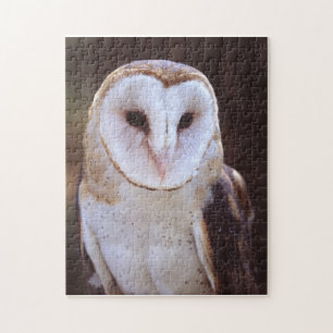 barn owl jigsaw puzzle