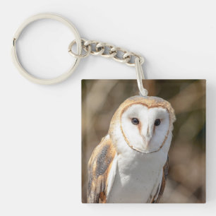 Barn Owl Key Ring