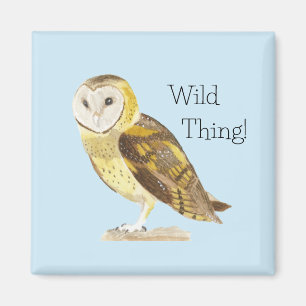 Barn Owl Magnet