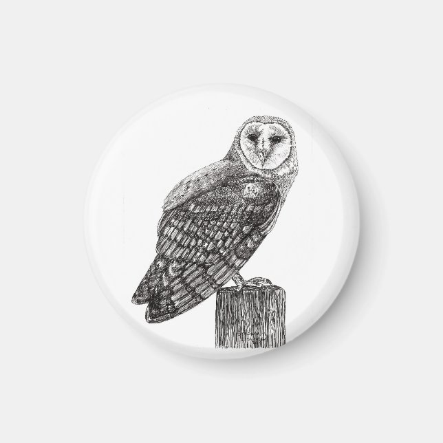 Barn Owl Magnet (Front)