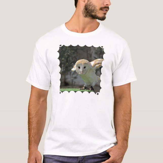 Barn Owl Men's T-Shirt (Front)