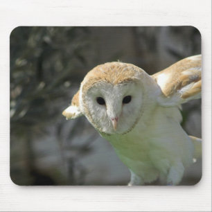 Barn Owl Mouse Pad