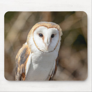 Barn Owl Mouse Pad
