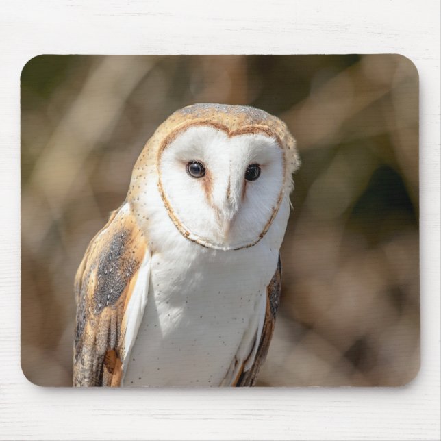 Barn Owl Mouse Pad (Front)