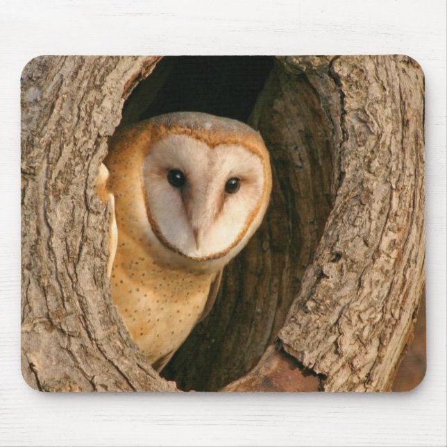 Barn Owl Mousepad (Front)