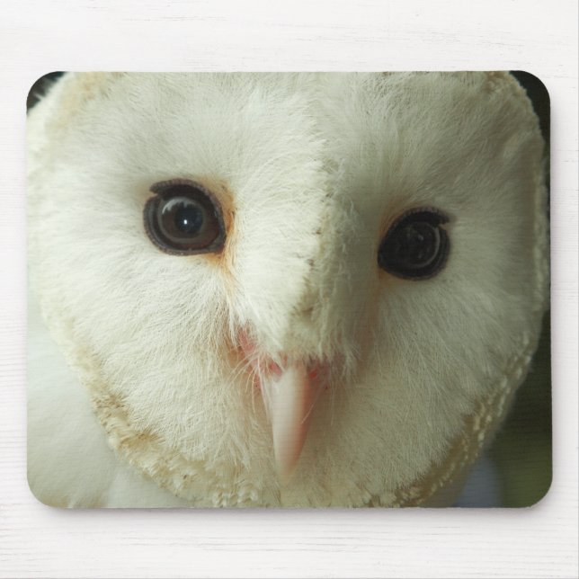 Barn Owl Mousepad (Front)