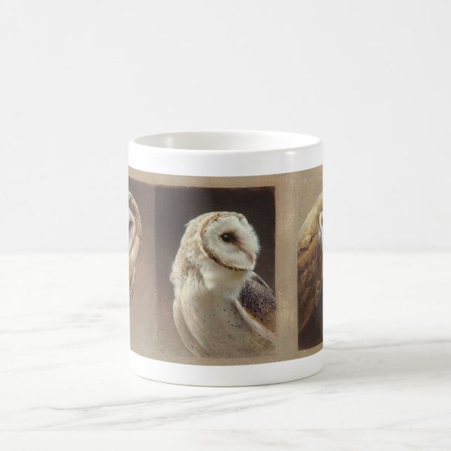 Barn Owl Mug (Center)