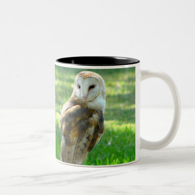 Barn Owl Nature Two-Tone Coffee Mug (Right)