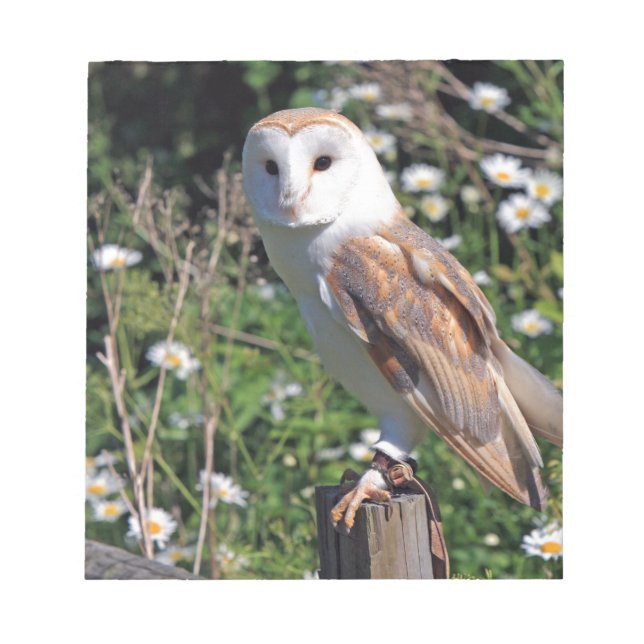 Barn Owl Notepad (Front)