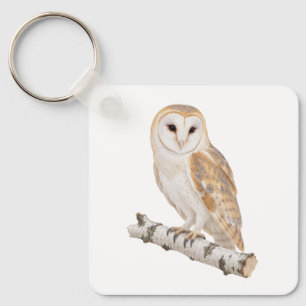 Barn Owl on a Birch Branch Key Ring