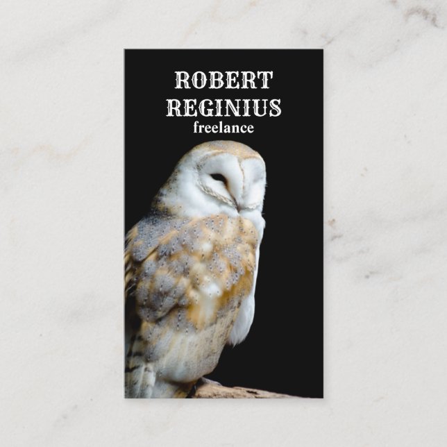 Barn Owl On The Black Background Business Card (Front)