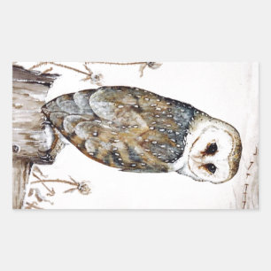 Barn Owl on the hunt Rectangular Sticker