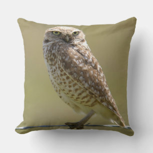 Barn Owl On The Wire Cushion