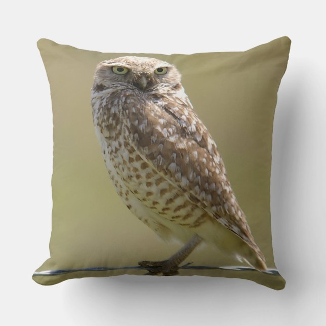 Barn Owl On The Wire Cushion (Front)