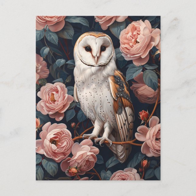 Barn Owl Perched Among Pink Roses Postcard (Front)