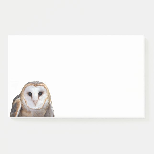 Barn Owl Photo 10x6 Notes Stationery (Front)